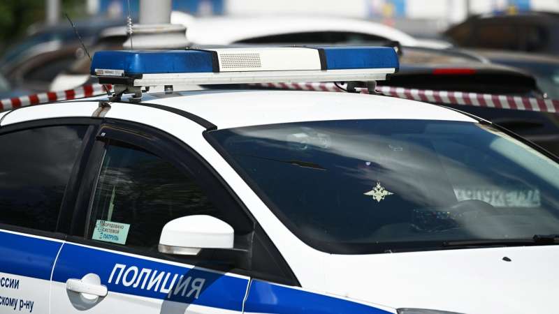 РИА Новости: по делу об убийстве студента в Омске проходят две девушки