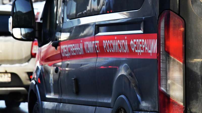 Утонувшая в болоте под Петербургом девочка была из многодетной глухонемой семьи