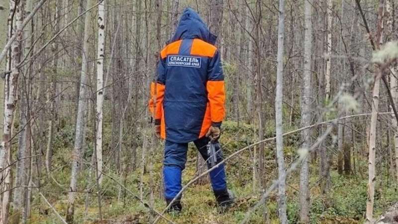 Юрист Соловьев: отсутствие следов Усольцевых в тайге выглядит странным