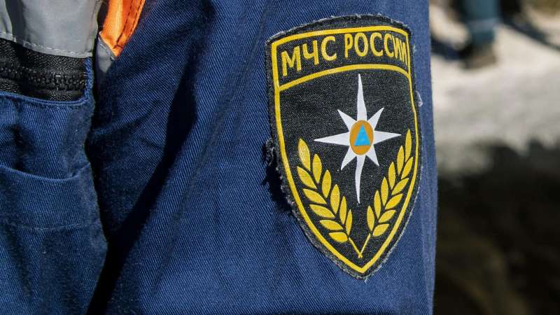 В Уфе пенсионер застрял на шестиметровом дереве, его спустили спасатели