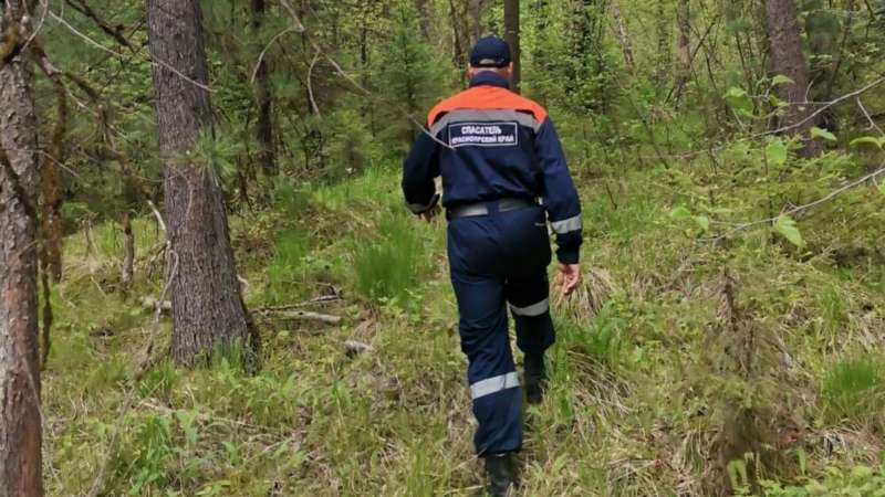 «Лиза Алерт»: поиски Усольцевых продолжатся, пока семью не найдут